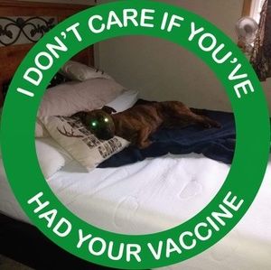 Meet your Posher, Ben